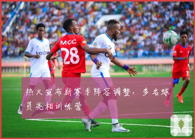 热火宣布新赛季阵容调整，多名球员亮相训练营