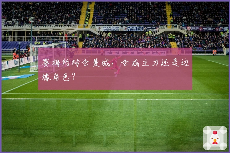 赛梅约转会曼城，会成主力还是边缘角色？