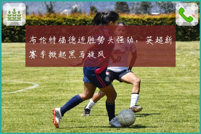布伦特福德连胜势头强劲，英超新赛季掀起黑马旋风